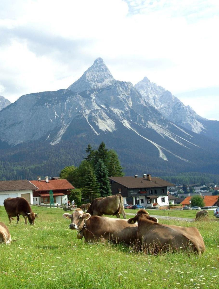 Ferienwohnung Haus Spielmann Ehrwald Exterior foto